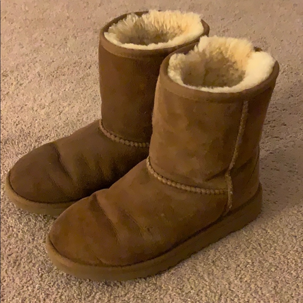 light brown short uggs